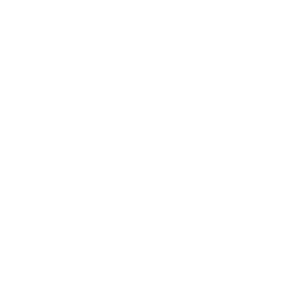 Zenik Logo